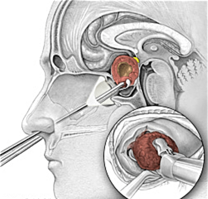 eeb752b97be88761798d885697580da0