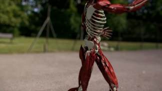 116777107-aparato-locomotor-directo-rodaje-jugador-de-tenis